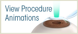 Animated Procedures